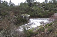 /album/fotos-e-palavras/img-2363-jpg/